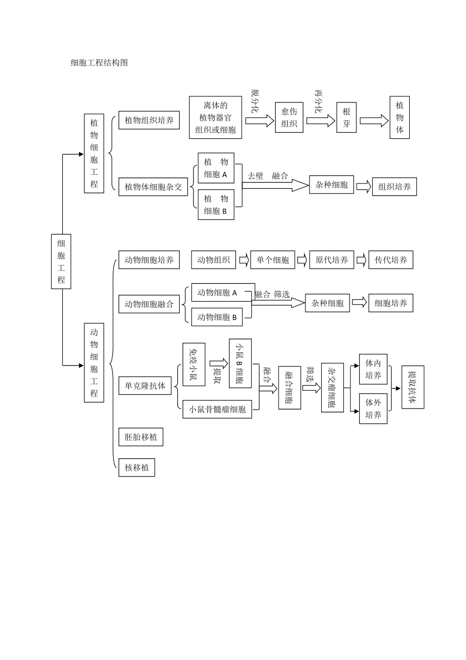 细胞工程结构图 从分子到系统的多维解构